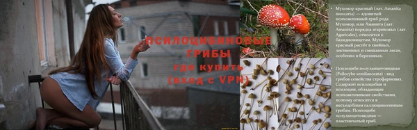 молекула духа Алексеевка