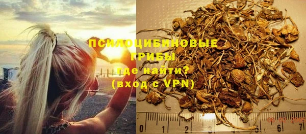 молекула духа Алексеевка
