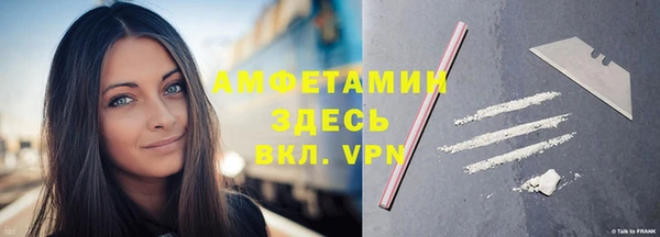 молекула духа Алексеевка