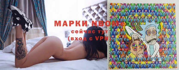 молекула духа Алексеевка