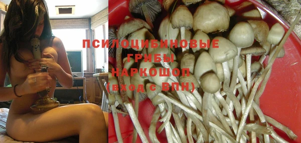 дмт Алзамай