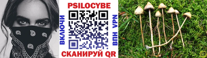 Галлюциногенные грибы мухоморы  Новоульяновск 